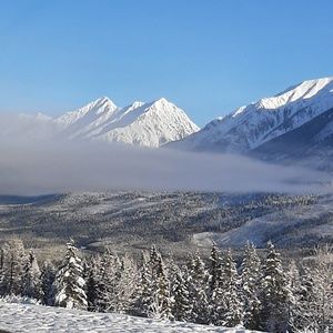 Meet your Posher, Staci